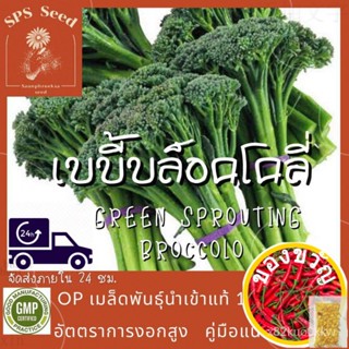 เมล็ดอวบอ้วน100%เมล็ดพันธุ์ เบบี้บล็อคโคลี่ - Green Sprouting Broccoli  400 เมล็ดเมล็ดพืชคุณภาพสูงMixCabbageManilaRussia