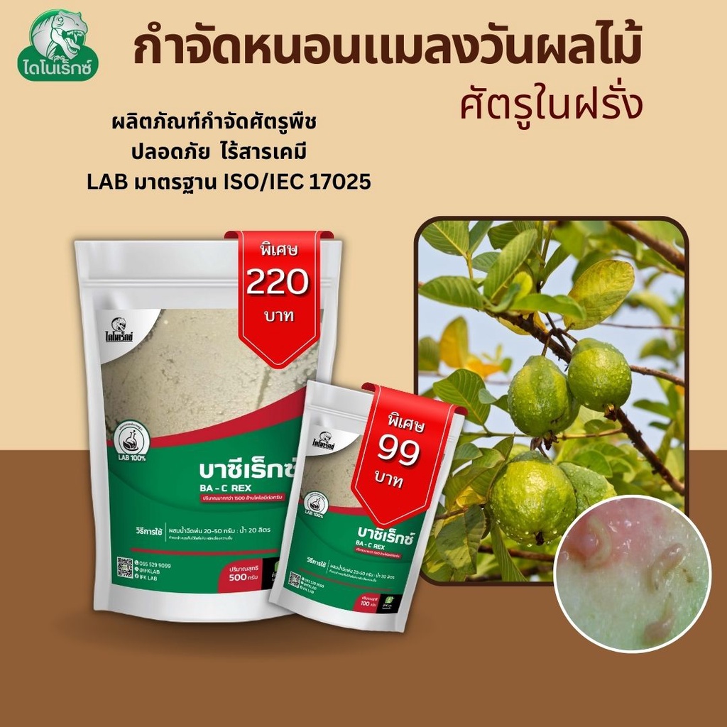 กำจัดศัตรูพืช ยาฆ่าหนอนแมลงวันทองหรือแมลงวันผลไม้ ใน ฝรั่ง และ พืชทุกชนิด บาซีเร็กซ์ โดย ไดโนเร็กซ์