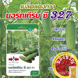 เมล็ดแตงกวา นอร์ทเทิร์น ซี 327 F1ปริมาณ70เมล็ด เมล็ดพันธุ์แตงกวา  เมล็ดพันธุ์ผัก เมล็ดพันธุ์ผักสวนครัว ตราศรแดงed WWTL