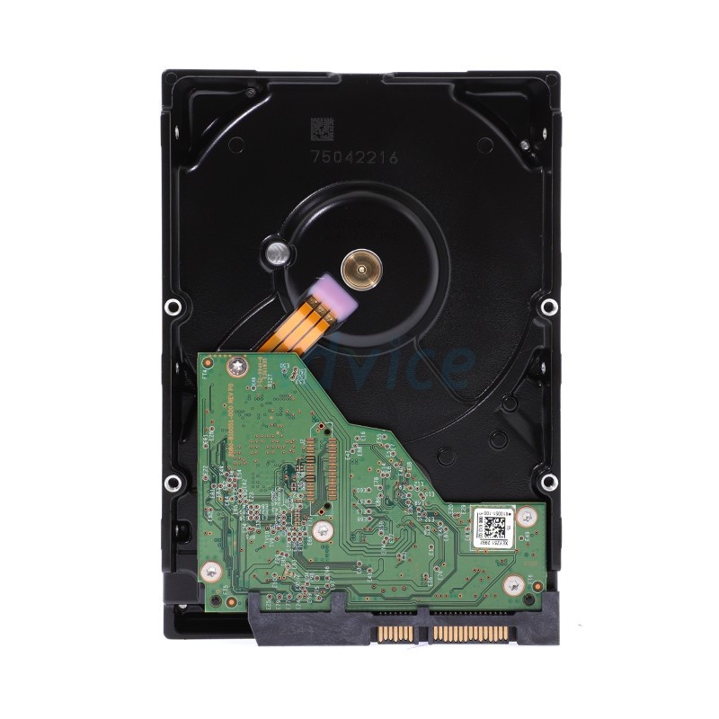 WD  6 TB HDD ฮาร์ดดิส WD RED PLUS NAS (5400RPM, 256MB, SATA-3, WD60EFPX) - A0146886 - A0146886