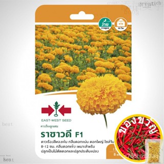 เมล็ดอวบอ้วน100%，ไทยในสต็อกพร้อมส่งEast-West Seed เมล็ดพันธุ์ดาวเรือง (Marigold seeds) ดาวเรืองลูกผสม ราชาวดี F1 เมล็ดพั