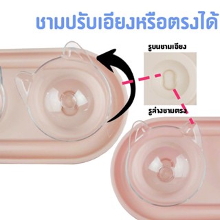 ชามคู่ชามกันมดชามใสคู่พร้อมกันมด