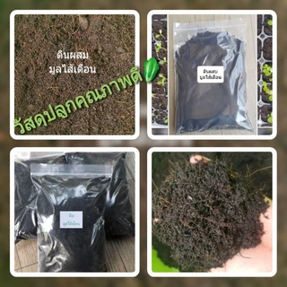 มูลไส้เดือนแท้🥬พีทมอสเพาะเมล็ด🍃ดินผสมมูลไส้เดือนพร้อมปลูก🌳วัสดุปลูกคุณภาพดี