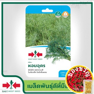 เมล็ดอวบอ้วน100%，ไทยในสต็อกพร้อมส่งEast-West Seed เมล็ดพันธุ์ผักชีลาว (Dill seeds) หอมอุดร เมล็ดพันธุ์ผัก เมล็ดพันธุ์ ผั