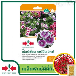 เมล็ดอวบอ้วน100�st-West Seed เมล็ดพันธุ์ ผีเสื้อเปอร์เซี่ยน(CELOSIA CR SEEDS)ผีเสื้อ เปอร์เซี่ยน คาร์เป็ท มิกซ์ เมล็ดพัน