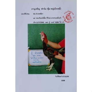 ไข่ไก่ชนสายเงินล้าน ดำเทาพลีลา