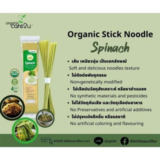 ORGANIC NOODLE เส้นออร์แกนิค ( รสผักโขม ) บะหมี่ผัก Vegan มังสวิรัติ เส้นบะหมี่ 200g