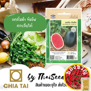 เมล็ดอวบอ้วน100%ใหม่ ขนาดทดลอง จำนวนจำกัด เมล็ดพันธุ์ แตงโมดำ นำเข้าจากญี่ปุ่น ทัมอัพ 50 เมล็ด ตราเจียไต๋เมล็ดพืชคุณภาพส