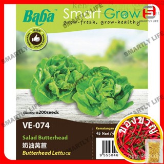 Smart Grow SEED: ผักกาดหอมบัตเตอร์เฮด VE-074 [สีขาว!] เมล็ดพันธุ์ H6Z6