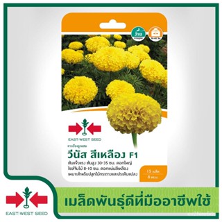 เมล็ด East-West Seed หญ้าดาวเรือง (Marigold seeds) วีนัส สีเหลือง F1 หญ้าดอกไม้ หญ้า ผั หญ้า