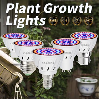 Full Spectrum หลอดไฟปลูกต้นไม้ E27 หลอดไฟปลูกพืช E14 หลอดไฟปลูกผัก 80/60/48Leds 220V Led Grow Light Bulb