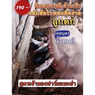 เทพบุตร โปรพลัส 1ถุง สูตรรวมแร่ธาตุบำรุงสัตว์14ชนิด