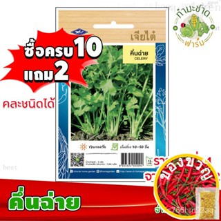 [10แถม2] เจียไต๋ เมล็ดพันธุ์  คึ่นฉ่าย Celery  ประมาณ 7,500 เมล็ด  ตราเจียไต๋ เมล็ดพันธุ์ผัก เมล็ดผัก เมล็ดพืช ผักสวนครั