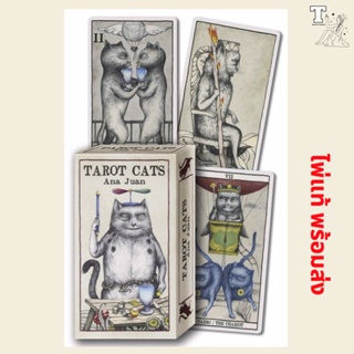 ไพ่แท้ พร้อมส่ง Tarot Cats 9780738770185 by Ana Juan ไพ่แมว แมว