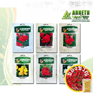 Canna Lily Plant Seeds By Condor เสื้อปลูก/อัญมณี/อัญมณี/เน็คไท/ของหวาน/กุหลาบ/รองเท้า/ชมพู/ผ้าโพกหัว/ผ้าโพกหัว/ผ้าโพกหั