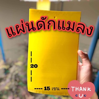 แผ่นดักแมลง กาวดักแมลง (ขนาด 15*20เซน)