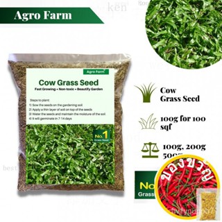 Agro FARM Premium COW Grass SEED 50เมล็ด (wxh) เซล็ตต์/กุหลาบ/ผักชี/ดอกไม้/ของเล่น/อัญมณี/กระโปรง/สวน/ กระบองเพชร OFY3