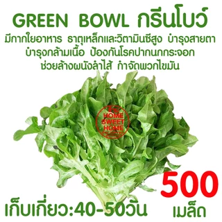 *ค่าส่งถูก* ผักสลัด เมล็ดผัก เมล็ดผักสลัด (2,000เมล็ด+) เมล็ดพันธุ์ เมล็ดพันธุ์ผักสลัด ปลูกผัก กรีนโอ๊ค คอส outlet