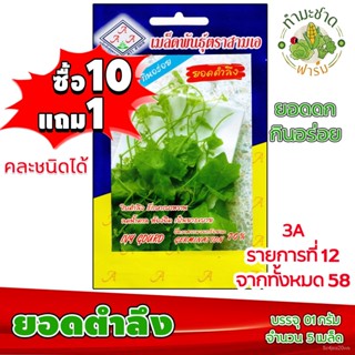 [10แถม1] เมล็ด3A,ประมาณ5เมล็ด/ซอง,สามเมล็ด,เมล็ดผัก,เมล็ดผัก,เมล็ด/ทำสวน/เสื้อผ้าผู้หญิง/ชุดชั้นใน/เสื้อผ้าเด็ก/นักเรียน