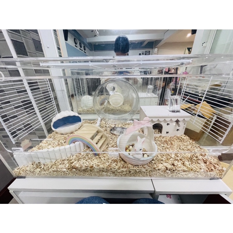 รูปภาพ 5