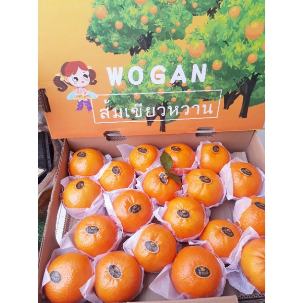 ส้มไต้หวันกล่อง size L, XLหอม อร่อย เกรดพรีเมียม 1 ลัง 5.5 กิโลรวม มีประมาน 22-30 ลูก