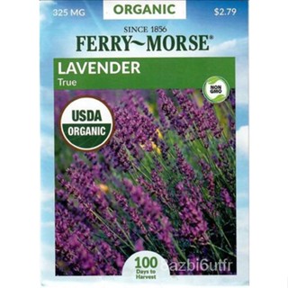 เมล็ด Lavender Real Organic Herb Seeds Non-Transgenic-Ferry Morse 12/23 มะเขือ