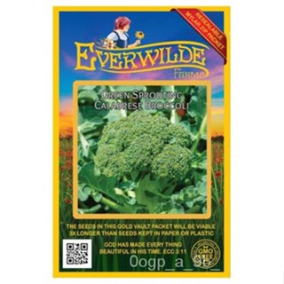 เมล็ด 500เมล็ดบร็อคโคลี่ผักชีสีเขียว-everwilde farms Mylar SEED Package ผักชี ผักชี