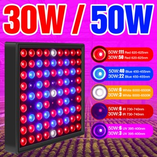 220V Full Spectrum LED Grow Light 20W/30W/40W /50Wไฟปลุกต้นไม้ ไฟช่วยต้นไม้ตัวเร็ว มีสวิตช์ปิดเปิด สายไฟยาว1.5โมตร