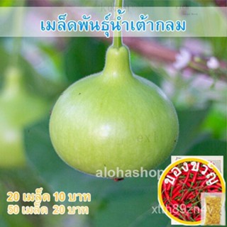 เมล็ดพันธุ์ เมล็ดน้ำเต้า น้ำเต้ากลม 300 เมล็ด คัดพิเศษ [ 10 เเถม 1คละได้]​​กระโปรง/มักกะโรนี/บ้านและสวน/ผักชี/เสื้อ/seed