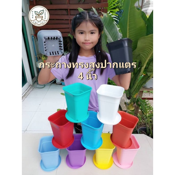 กระถางสี่เหลี่ยมปากแตรทรงสูง 4 นิ้ว (6 ใบ)/ กระถางพร้อมจานรอง กระถางพลาสติกราคาถูก