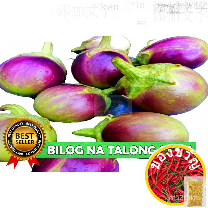 แพ็คสุดคุ้ม! Bilog Eggplant SEEDS-10pcs seeds/ Gwapito/hybrid/high Yielding Toy/ รองเท้า/หัวโค้ง/กระ