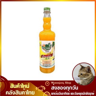 น้ำผลไม้เข้มข้น น้ำมะม่วง 755 มล. Dingfong DING FONG ติ่งฟง Concentrated Mango Squash Fruit Juice น้ำผลไม้ รสมะม่วง น้ำม