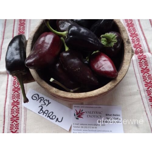 เมล็ด พริกไทยยิปซีบารอน-10เมล็ด-หวานและม่วง! Ca 005 สายพันธุ์