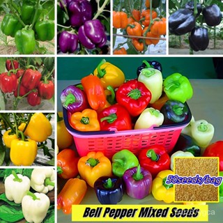 Bell Pepper Mixed Seeds เมล็ดพริกไทยระฆัง (50ชิ้น/ถุง) เมล็ดพืชอินทรีย์เมล็ดผักเมล็ดผักสีเขียวเมล็ดผักต่างๆเมล็ดสีพันธุ์