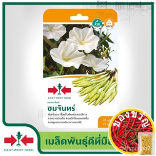 East-West Seed เมล็ดพันธุ์ดอกพระจันทร์ (Moonflower seeds)  ชมจันทร์ เมล็ดพันธุ์ผัก เมล็ดพันธุ์ ผักสวนครัว ตราศรแดง芹菜//种子