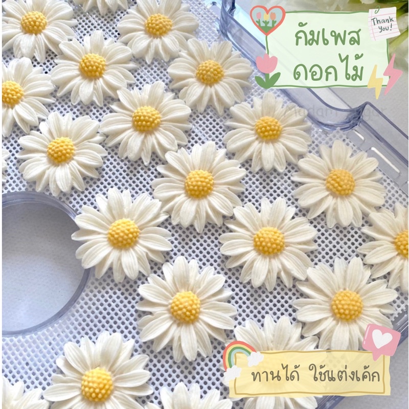 Madame Sugar: น้ำตาลกัมเพส "ดอกเดซี่ 4cm." : มาดามซูการ์