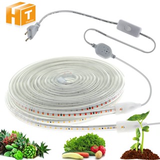 LED Grow Light Strip 2835 Full Spectrum Plant Light Phyto Lamp Waterproof 220V Gowing Light for Greenhouse Plant Growing