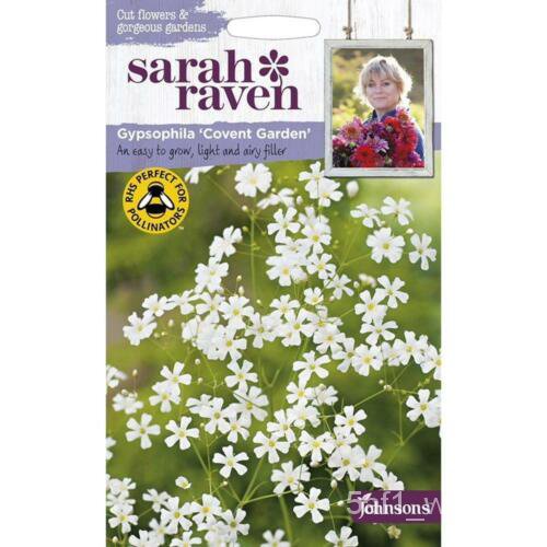 เมล็ด Johnsons Sarah Raven ปลูกดอกไม้ของคุณเอง Gypsophila &amp; #039;Covent Garden &amp; #039; Seeds Pkt เมล็ดพันธุ์