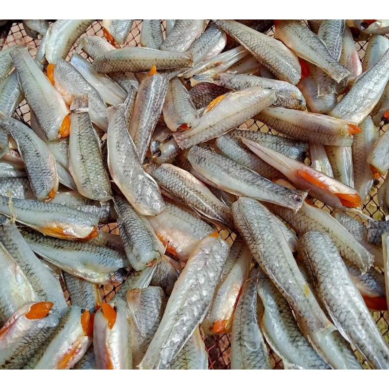 ปลากัดปลาทะเลตากแห้งอหร่อยสูตรเค้มน้อย
