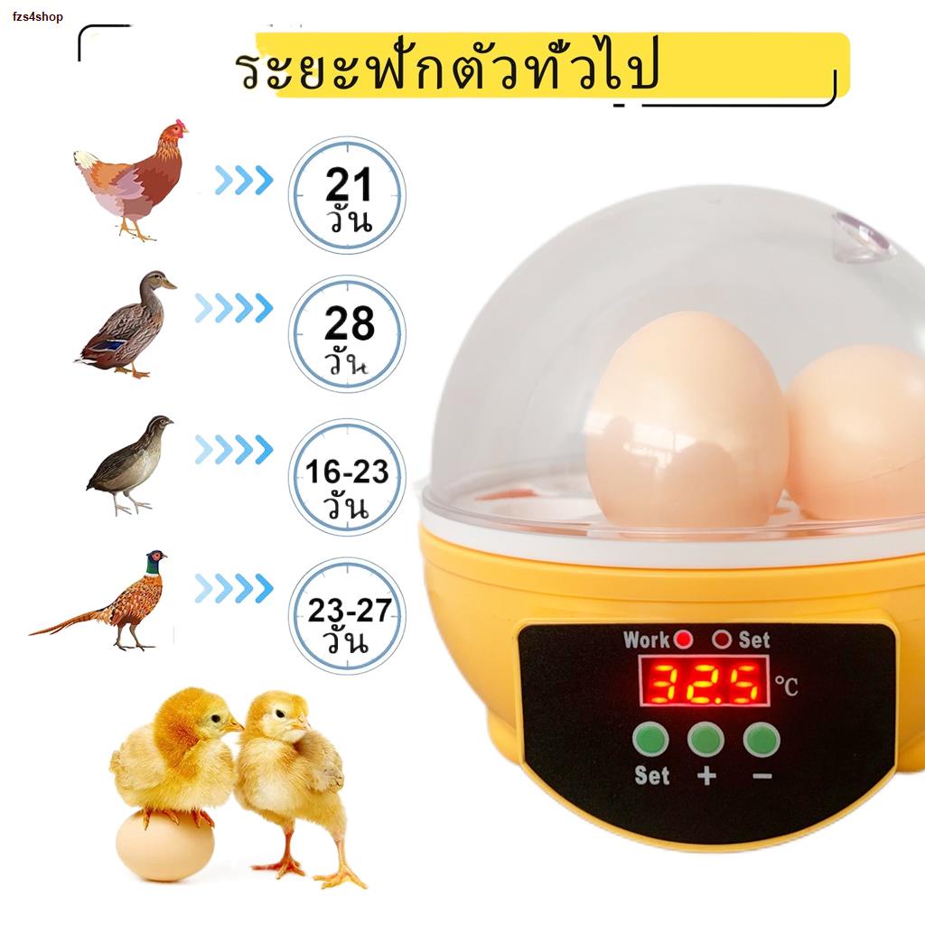 จัดส่งได้ตลอดเวลารับประกัน❗❗ตู้ฟักไข่ถูกๆ 7 ฟอง ตู้ฝักไข่ไก่ ชุดตู้ฟักไข่นกเป็ดไก่ เครื่องฟักไข่อัตโนมัติ เครื่องฟัก อัต
