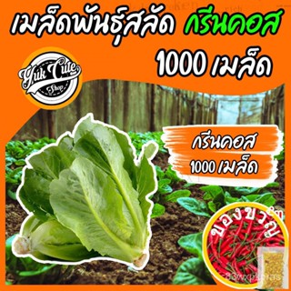 เมล็ดพันธุ์/(เเถมปุ๋ย) เมล็ดพันธุ์ผักสลัด กรีนคอส 1000เมล็ด อัตราการงอก95% เมล็ดพันธุ์ ผักสลัด เมล็ดผัก เมล็ดผักสลัด พัน