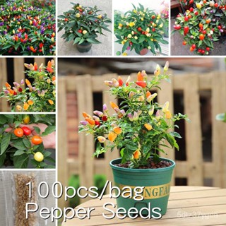 100 Hot Pepper Seeds For Planting Vegetable Seed Red Chili Seed Vegetable Seeds Vegetable Garden Planting Vegetables See