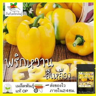 ซื้อคุณได้รับคุณฟรีคือเมล็ด (ไม่ใช่พืช) เมล็ดพริกหวานสีเหลืองทองแคลิฟอร์เนียเมล็ดพริกไทยนำเข้าจากต่างประเทศปลูกง่ายรวดเร