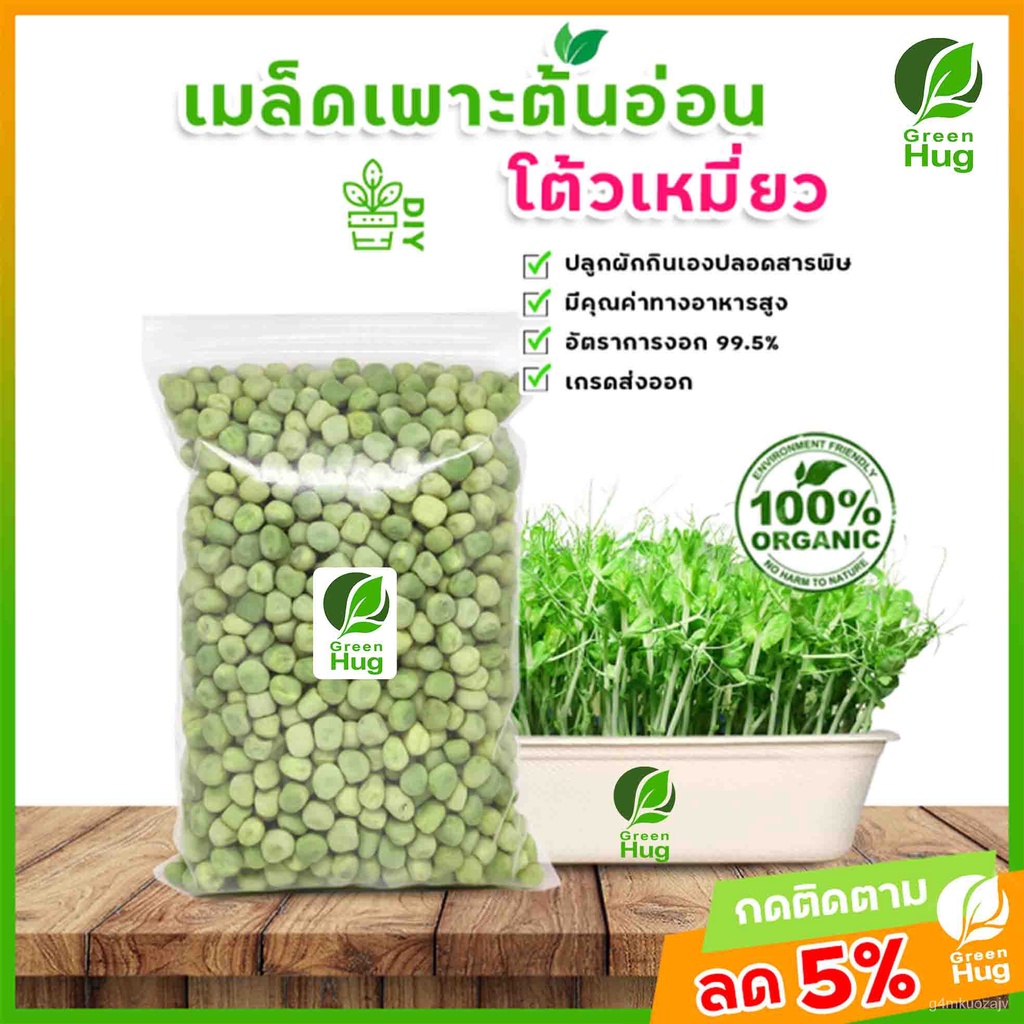 อินทรีย์็ด ใหม่็ด ใหม่็ดโต้วเหมี่ยว (ถั่วลันเตา) *500กรัม* ใหม่นิวซีแลนด์ ใหม่เมเปิ้ล ( Green Peas 500 g. ) GREE ดอก