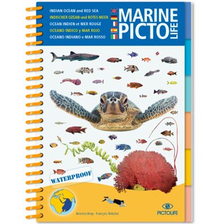 อุปกรณ์เสริมว่ายน้ำ Marine Pictolife Book หนังสือปลา ทะเล