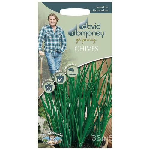 เมล็ด Mr. Fothergill 'S David Domoney Easy Home Grown Chives Herb Seeds Packet ผักชี