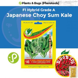 Green Eagle ญี่ปุ่น Choy SUM kale seeds 145 F1 HYBRID Grade A (ห) (ห) หยิน/หยิน/ห BPAS