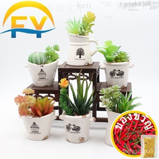 Fy ประดิษฐ์ดอกไม้ succulent Plant เซรามิคหม้อ bonsai ระเบียง Home Office Desk Decor ยับ/สวน/กางเกงใน/สวน/เม็ด EAP1