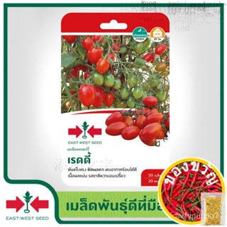 East-West Seed เมล็ดพันธุ์มะเขือเทศเชอร์รี่ (Tomato seeds) เรดดี้ เมล็ดพันธุ์ผัก เมล็ดพันธุ์ ผักสวนครัว ตราศรแดง芹菜/帽子/种子