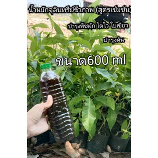 ปุ๋ยหมักชีวภาพ 600ml สูตรเข้มข้นบำรุงต้นไม้ พืชผักงามโตไวใบเขียว